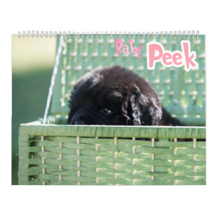 GCH Notta Beren prikkelde mijn interesse Kalender