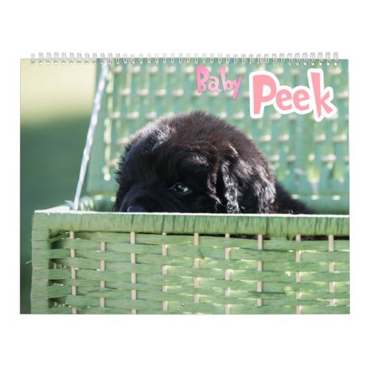 GCH Notta Beren prikkelde mijn interesse Kalender (Hoes)