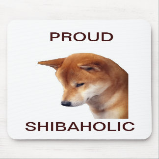 GCH Shiba-Muismat Muismat