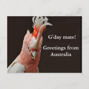 Gday maat! begroeten vanuit Australië Briefkaart