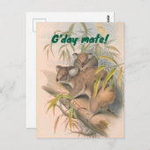 G'day Mate Australische Groet met Koala's Briefkaart (Voorkant / Achterkant)
