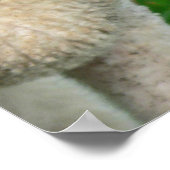 G'day! Poster (Hoek)