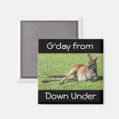 G'day van Down Under Kangaroo Magnet Magneet (Voorkant / Achterkant)