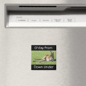 G'day van Down Under Kangaroo Magnet Magneet (Insitu (Vaatwasser))