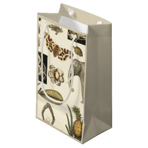 Geabsorbeerde dieren op de achtergrond van crème klein cadeauzakje
