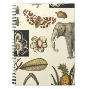 Geabsorbeerde dieren op de achtergrond van crème notitieboek