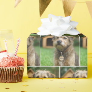 Geadopteerde ruwharige hond met hondenhok cadeaupapier