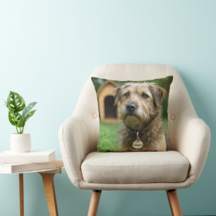 Geadopteerde ruwharige hond met hondenhok kussen