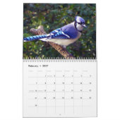 Geai bleu calendrier de 12 mois (Feb 2027)