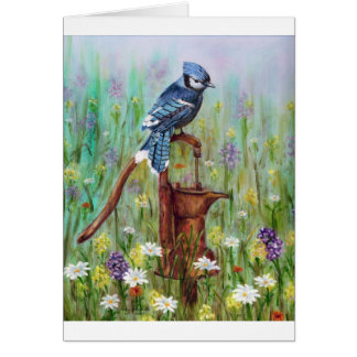 Geai bleu : perche paisible