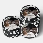 Geai gris et jetons de poker de Bell (Empiler)