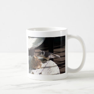 Geai gris et tasse de Bell