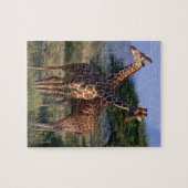 Geannuleerde Giraffe 2 Legpuzzel (Horizontaal)