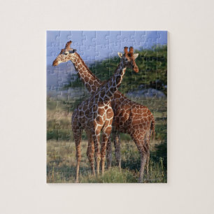 Geannuleerde Giraffe 2 Legpuzzel