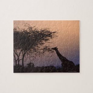 Geannuleerde Giraffe 2 Legpuzzel