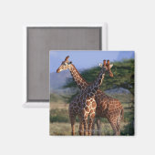 Geannuleerde Giraffe 2 Magneet (Voorkant / Achterkant)