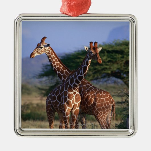 Geannuleerde Giraffe 2 Metalen Ornament (Voorkant)