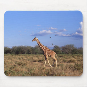 Geannuleerde Giraffe 2 Muismat