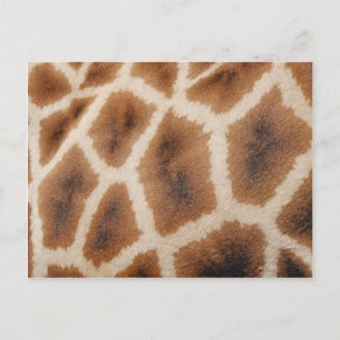 Geannuleerde Giraffe Pattern Wild Animal Print Gif Briefkaart
