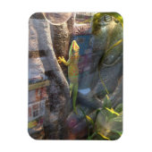 Géant Day Gecko Magnet (Vertical)