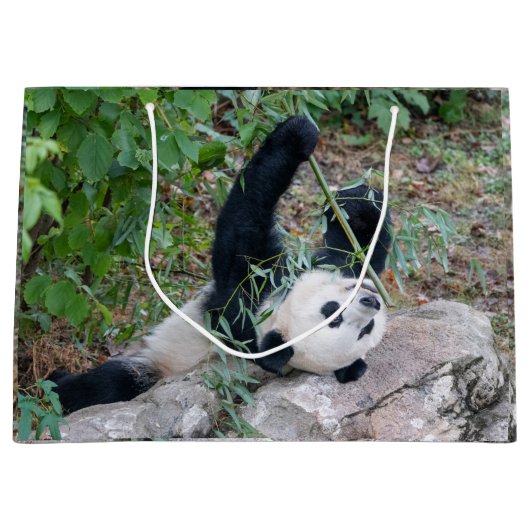 Géant Panda manger déjeuner Grand sac cadeau (Devant)