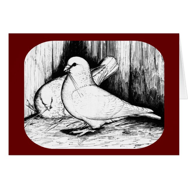 Géant Runt Pigeons (Devant Horizontal)