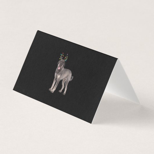 géant schnauzer renne noël chien sueur (Front)