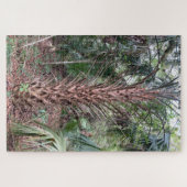 Géant Tranquille - Puzzle du Palmier Anastasia Isl (Horizontal)