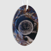 Géant Westbrook Ice Disk Maine (devant)