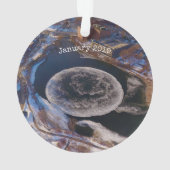 Géant Westbrook Ice Disk Maine (dos)