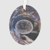 Géant Westbrook Ice Disk Maine (devant)