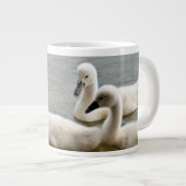Géante cygnes dans la tasse de l'eau (Devant droit)