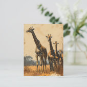 Géants gracieux : Carte postale Giraffes Vintages (Debout devant)