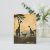 Géants gracieux : Carte postale Giraffes Vintages (Debout devant)