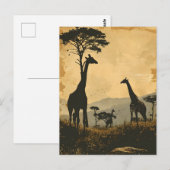 Géants gracieux : Carte postale Giraffes Vintages (Devant / Derrière)