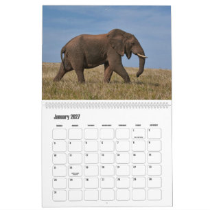 Géants Majestueux Calendrier de la Faune Africaine