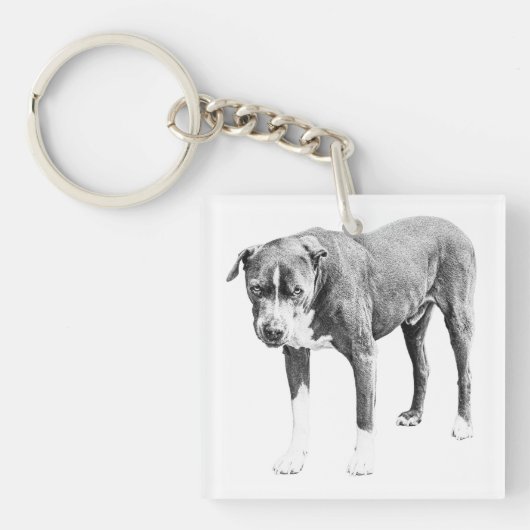 Gearceerde Pit Bull Mini Tag Sleutelhanger (voorkant)