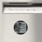 Gearresteerde ontwikkeling magneet (Insitu (Vaatwasser))