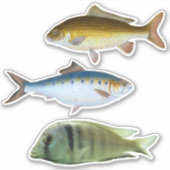 Geassorteerde vis Sticker (Voorkant)