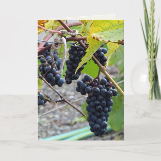 Geavanceerd Kaart (Voorkant)