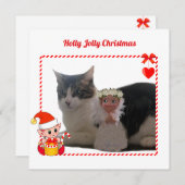 Geavanceerde kerstfoto's (Voorkant / Achterkant)