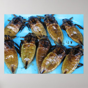 Gebakken Reuzenwaterwants (Maeng Daa) ... Aziatisc Poster