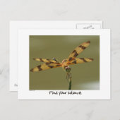 gebalanceerd libel Briefkaart (Voorkant / Achterkant)