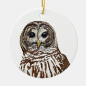 Gebarricadeerde Uil Kerst 2022 Ornament (Voorkant)