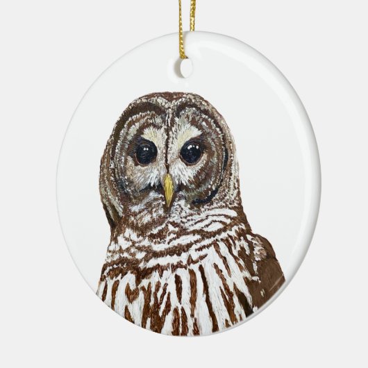 Gebarricadeerde Uil Kerst 2022 Ornament (Links)