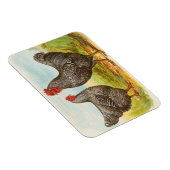  gebarsten Plymouth Rock Chickens Magneet (Rechterzijde)