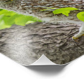 Gebarsten uiltje in bladluifel foto afdruk (Hoek)