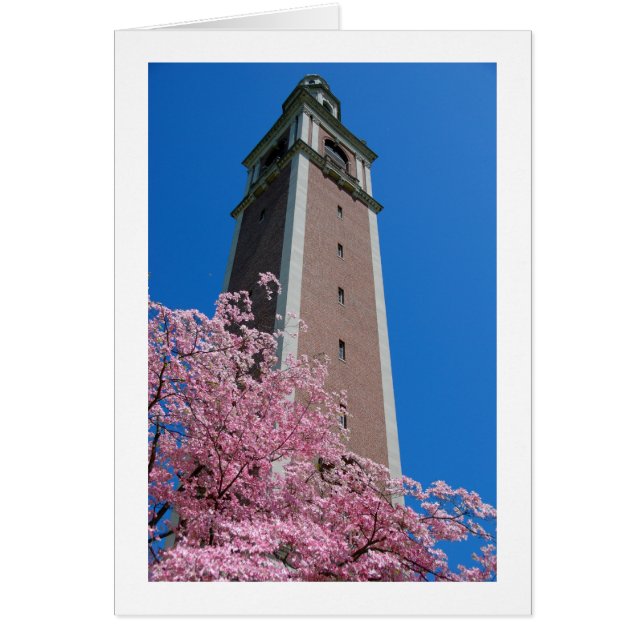 Gebaseerd in roze (Voorkant)