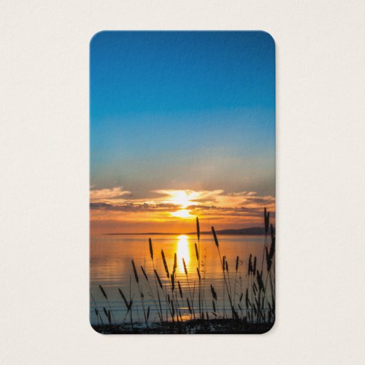 Gebed Kaarten | Zonsondergang riet Visitekaartje (Voorkant)