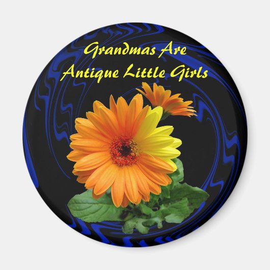 GEBER DAISY - MAGNET MAGNEET (Voorkant)